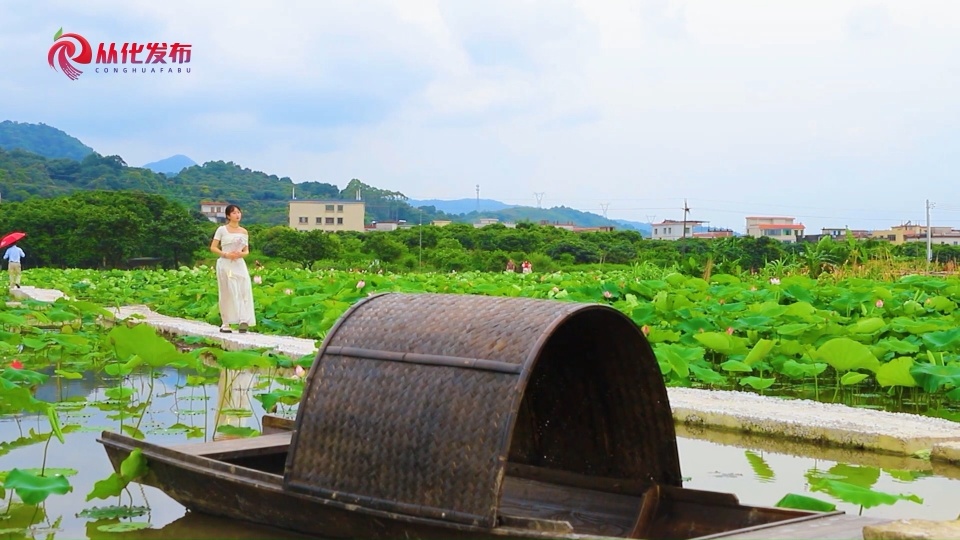 有的游客拿出手机,捕捉荷