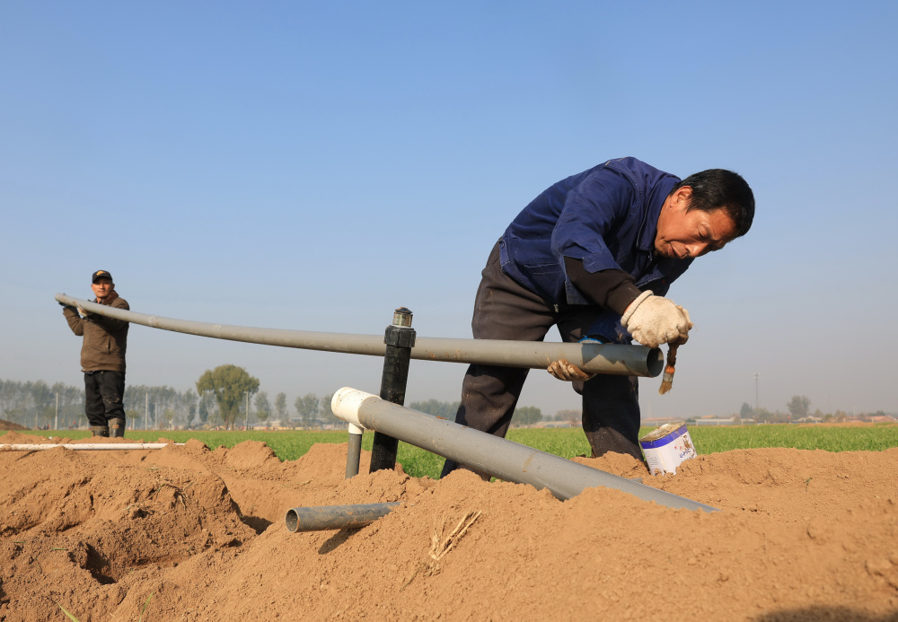 河北晋州推进高标准良田建设