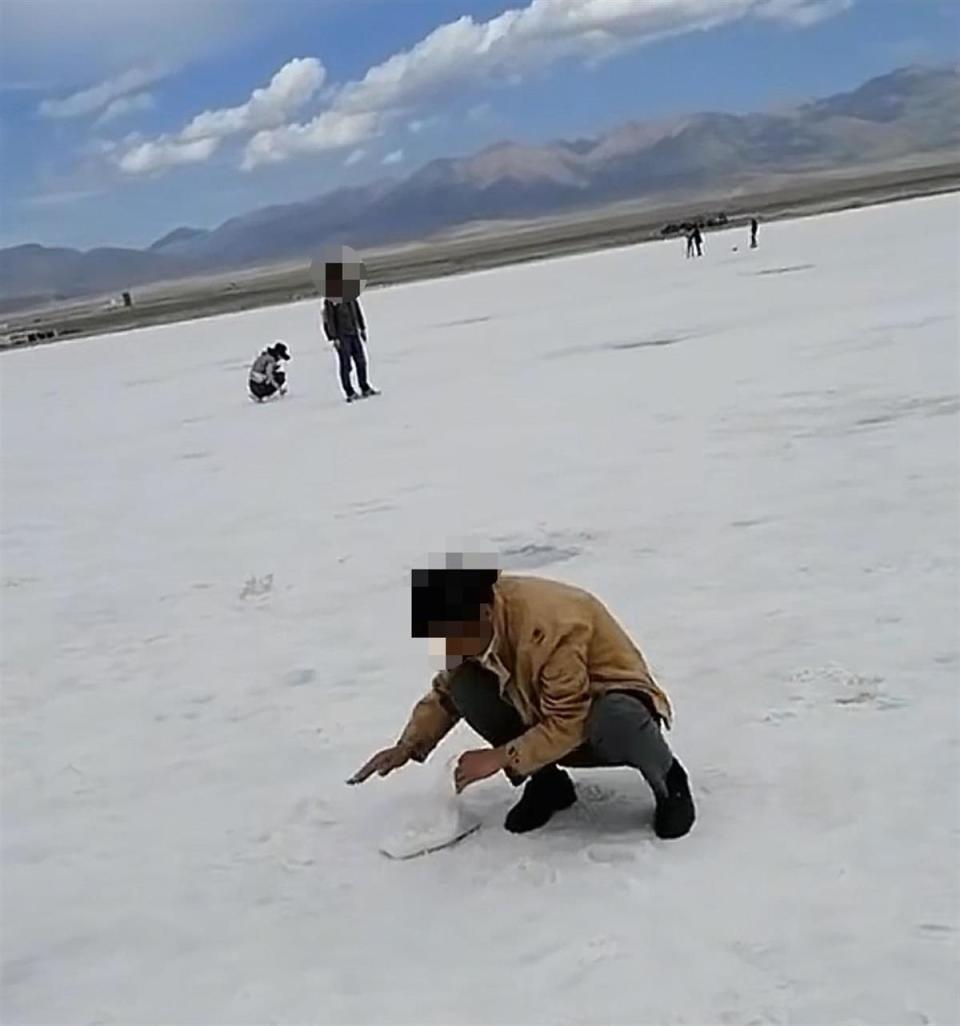 图片