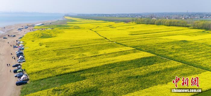 湖北枝江：繁花引客入村来_腾讯新闻