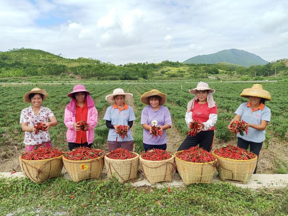 做菜"心狠手辣"的湖南人,凭啥这么傲娇?