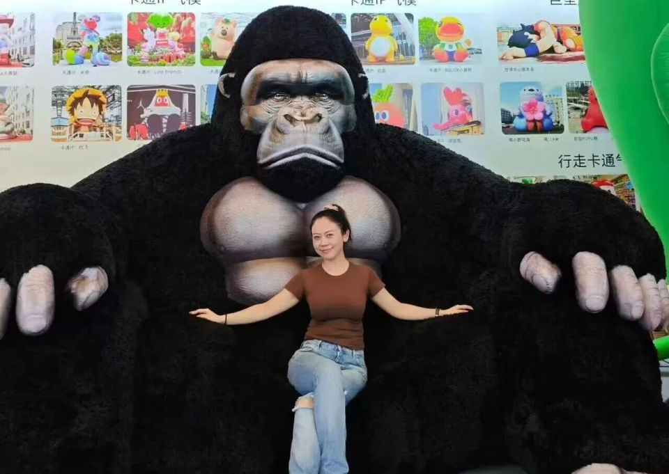 央視女導演：已辭職，在路邊擺攤