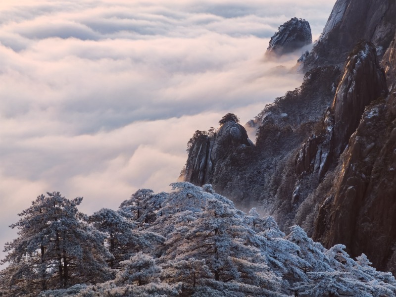 黄山雾凇图片云海图片