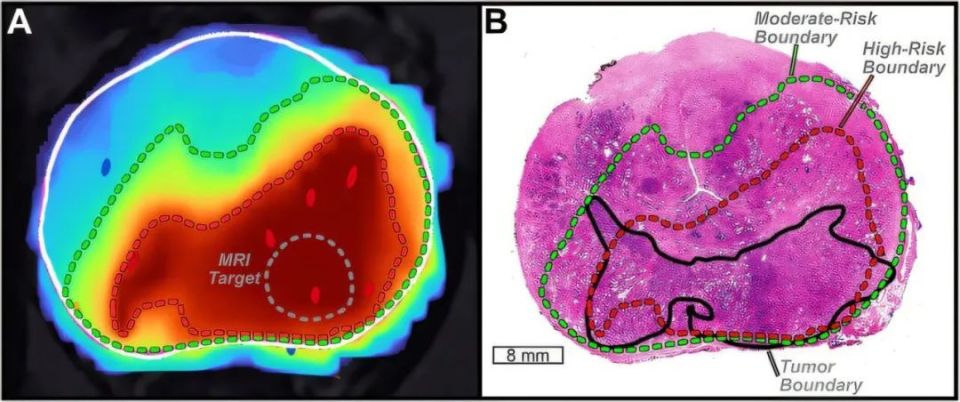 以色列医疗设备有哪些追问weekly ｜ 过去一周，脑科学领域有哪些新发现？Vol.63_https://www.jmylbn.com_新闻资讯_第32张
