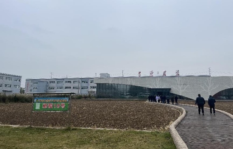 国内外种业专家走进中原农谷农业科技创新高地正逐渐形成