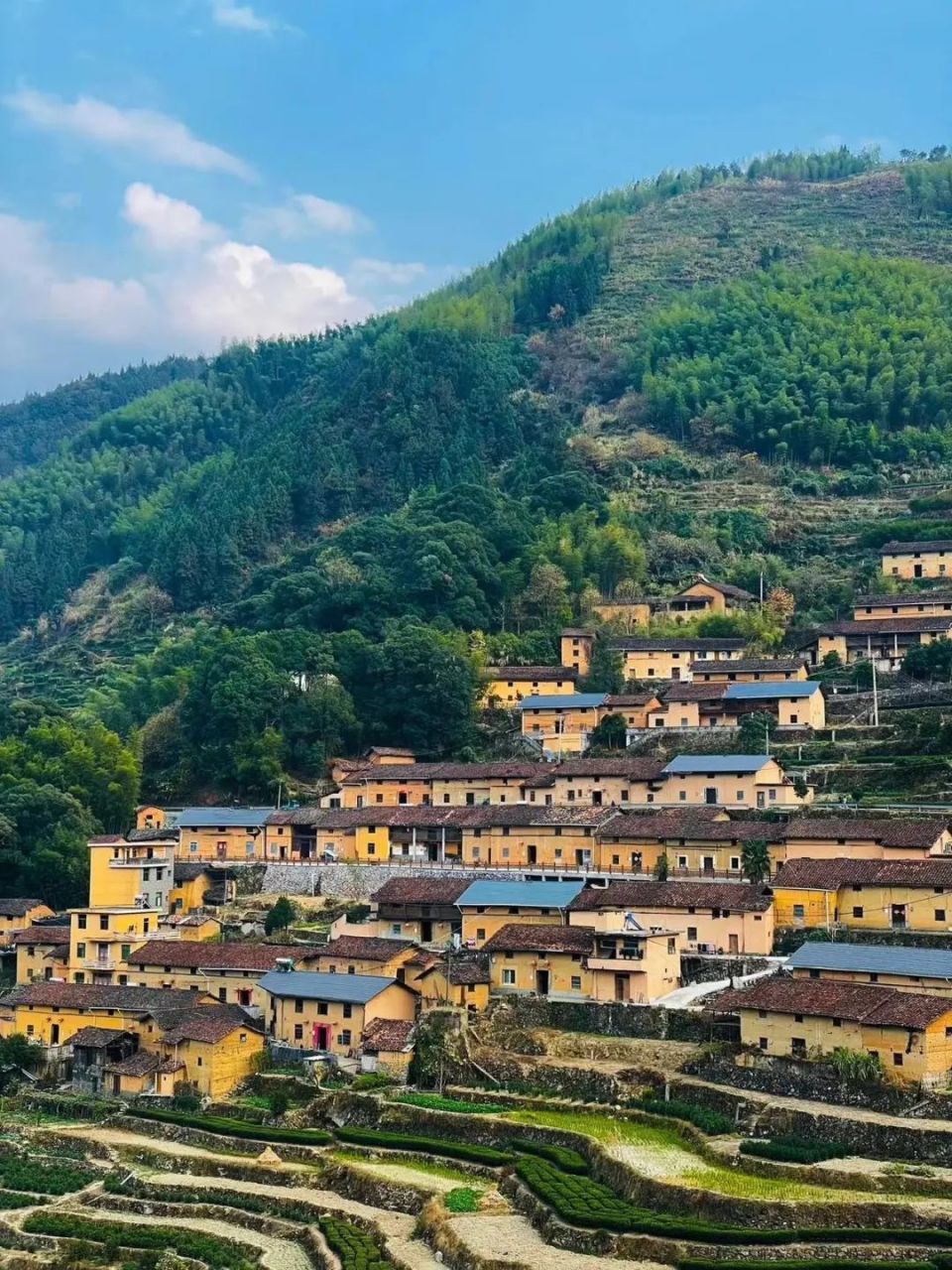 最接近"避世"两字的地方,超级低调的浙江小山城,坐拥云海梯田绝美风光