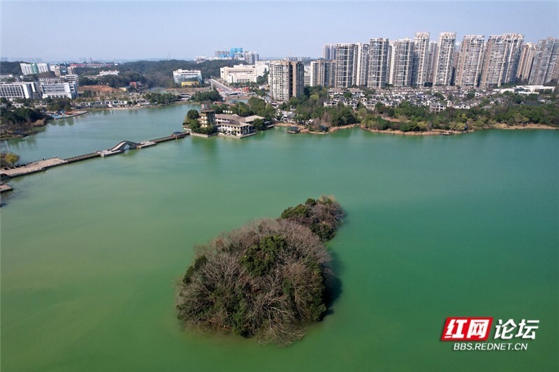 醉美踏春行丨春来碧水柳垂帘,航拍长沙月湖公园之春_腾讯新闻