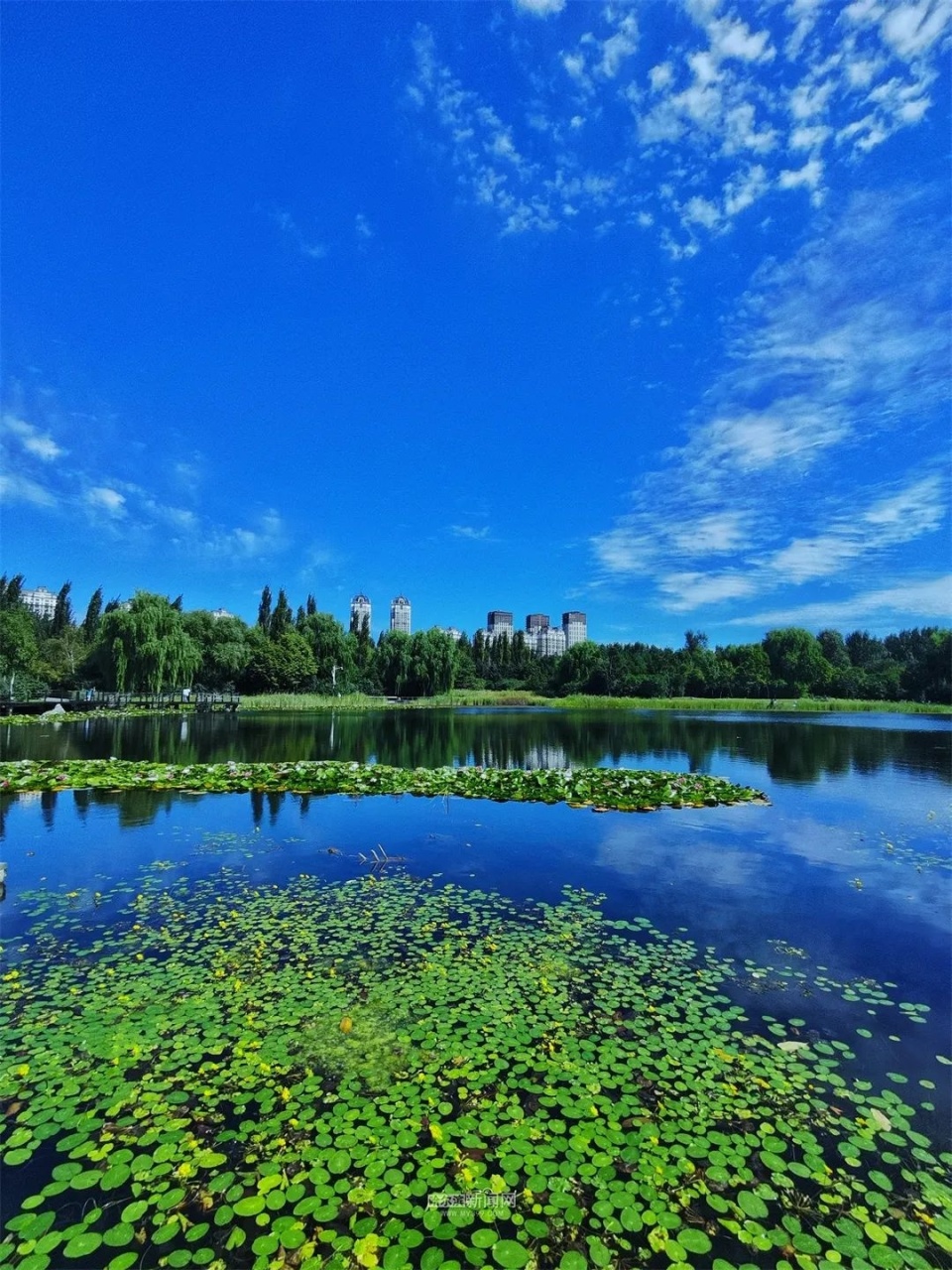 冷涡系统东移丨未来三天哈市天气晴好
