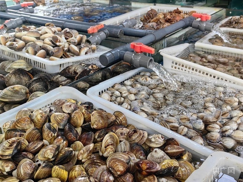 万象耕新丨山东日照海鲜田园迎丰收供需两旺市场火热