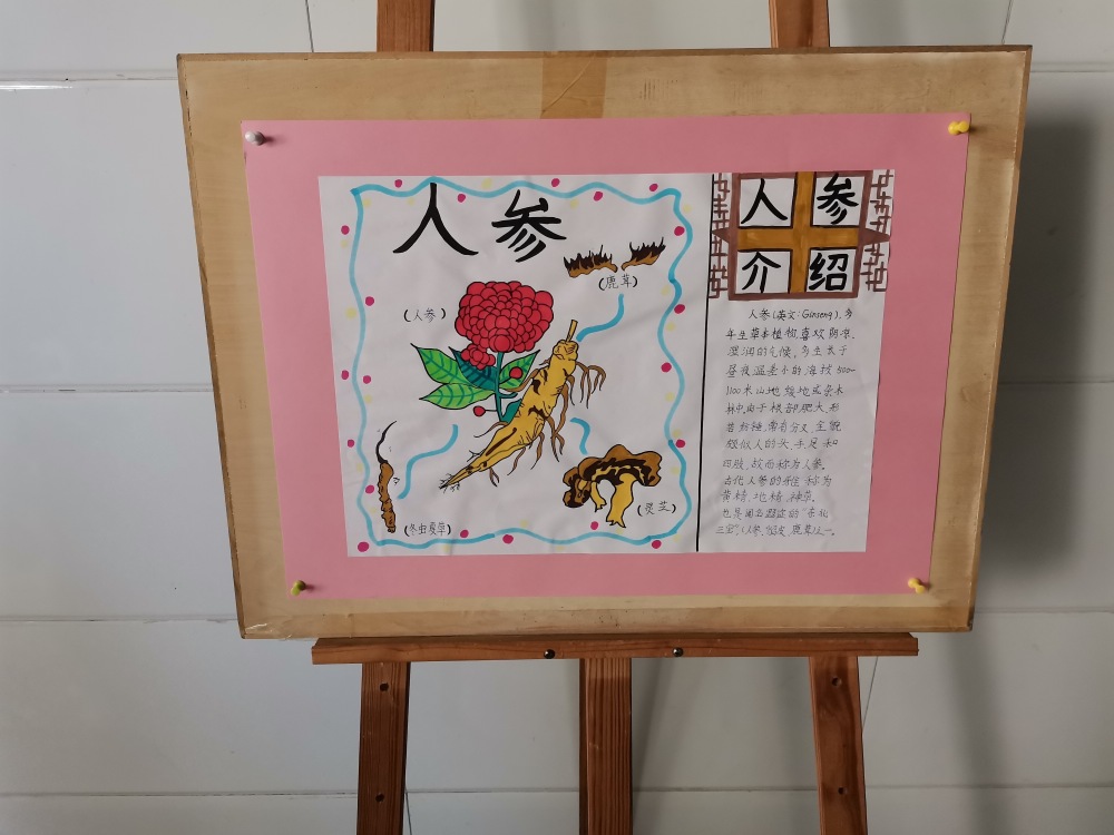 山东省临沭县光明路小学校园走廊里的中医药主题手抄报