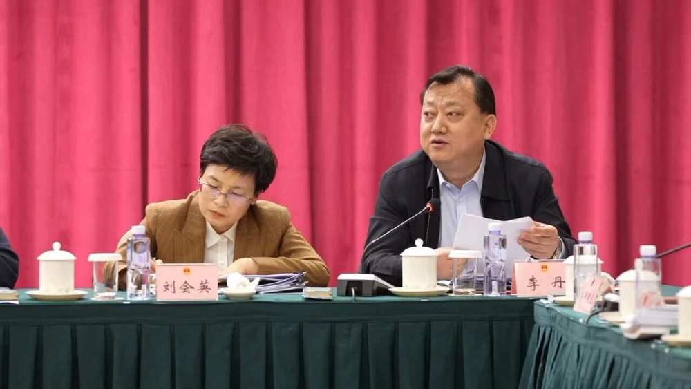 媒体看内江丨履职进行时李丹代表加量减价打造内江页岩气主产地优势