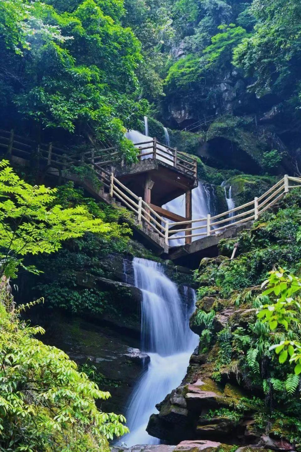 碧峰峡大熊猫基地位于四川雅安隶属中国保护大熊猫研究中心,坐落在