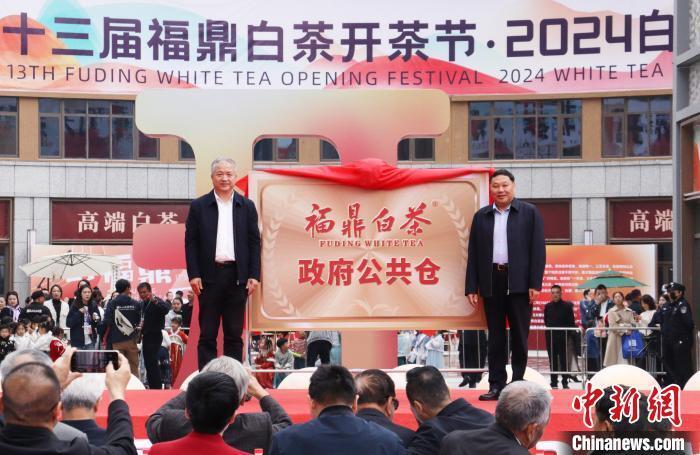 "中国白茶之乡"福建福鼎举办开茶节 推动茶产业绿色高质量发展