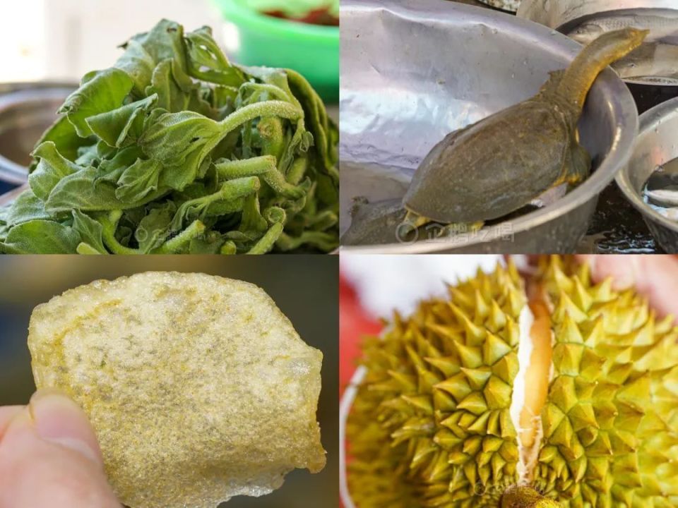 周边牧场运来的鲜羊奶,牛奶;刚从藤上,地里摘下的蔬菜堆成小山;现炸的