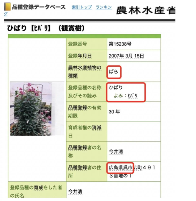 海贼王：云雀是赤犬的女儿？海军新铁三角成型，全新战力得到强化