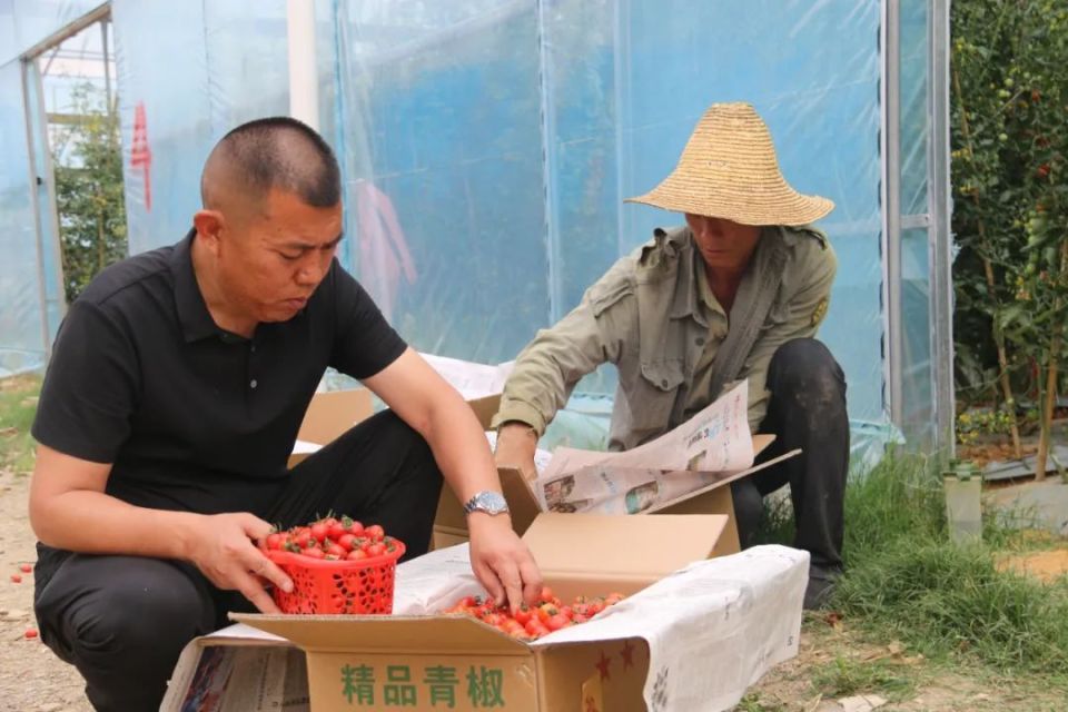 26年,一个人与一个产业的故事