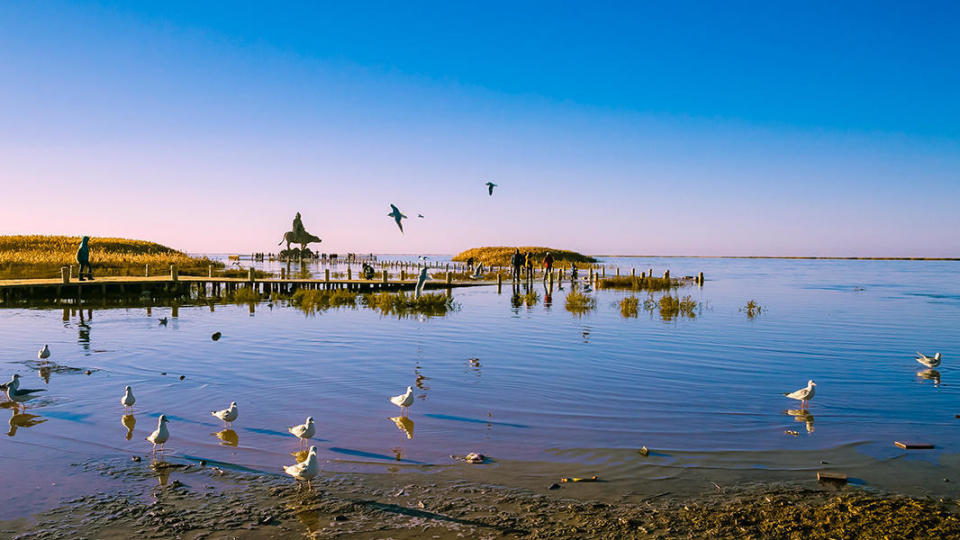 内蒙额济纳居延海