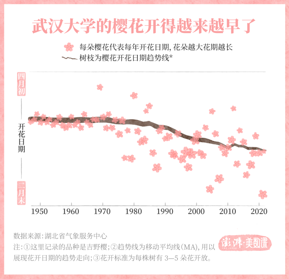 花的资料（牵牛花的资料大全200个字） 第2张