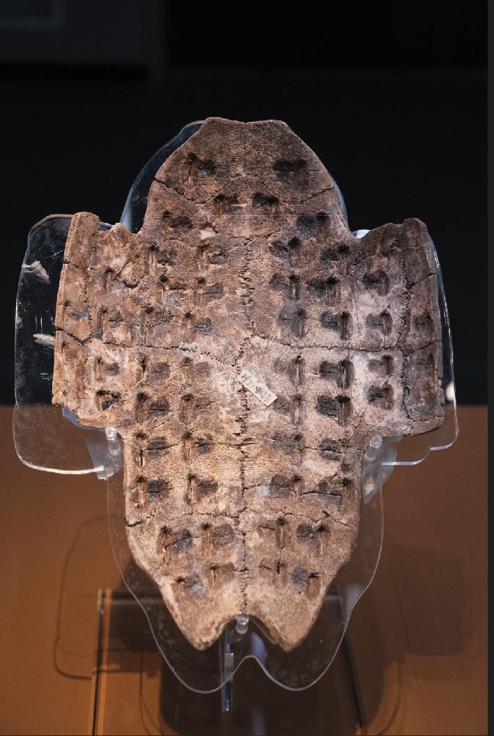 商王武丁在白天祭祀,而子作为王子,在晚上祭祀.