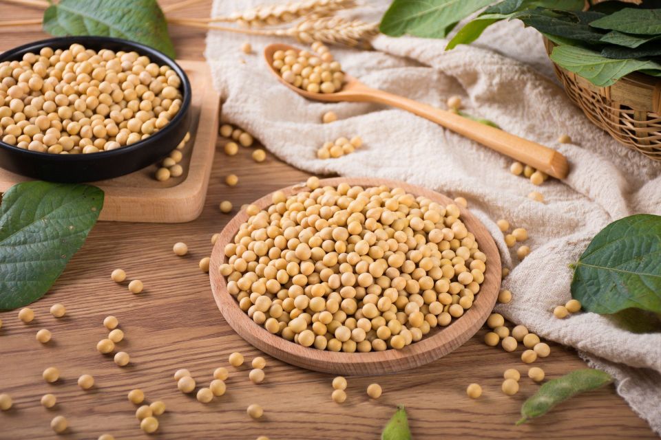 吃出健康|大豆营养价值高,我们吃得还不够
