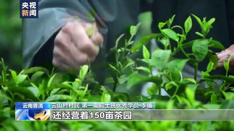 [南方生姜网-图片加载]