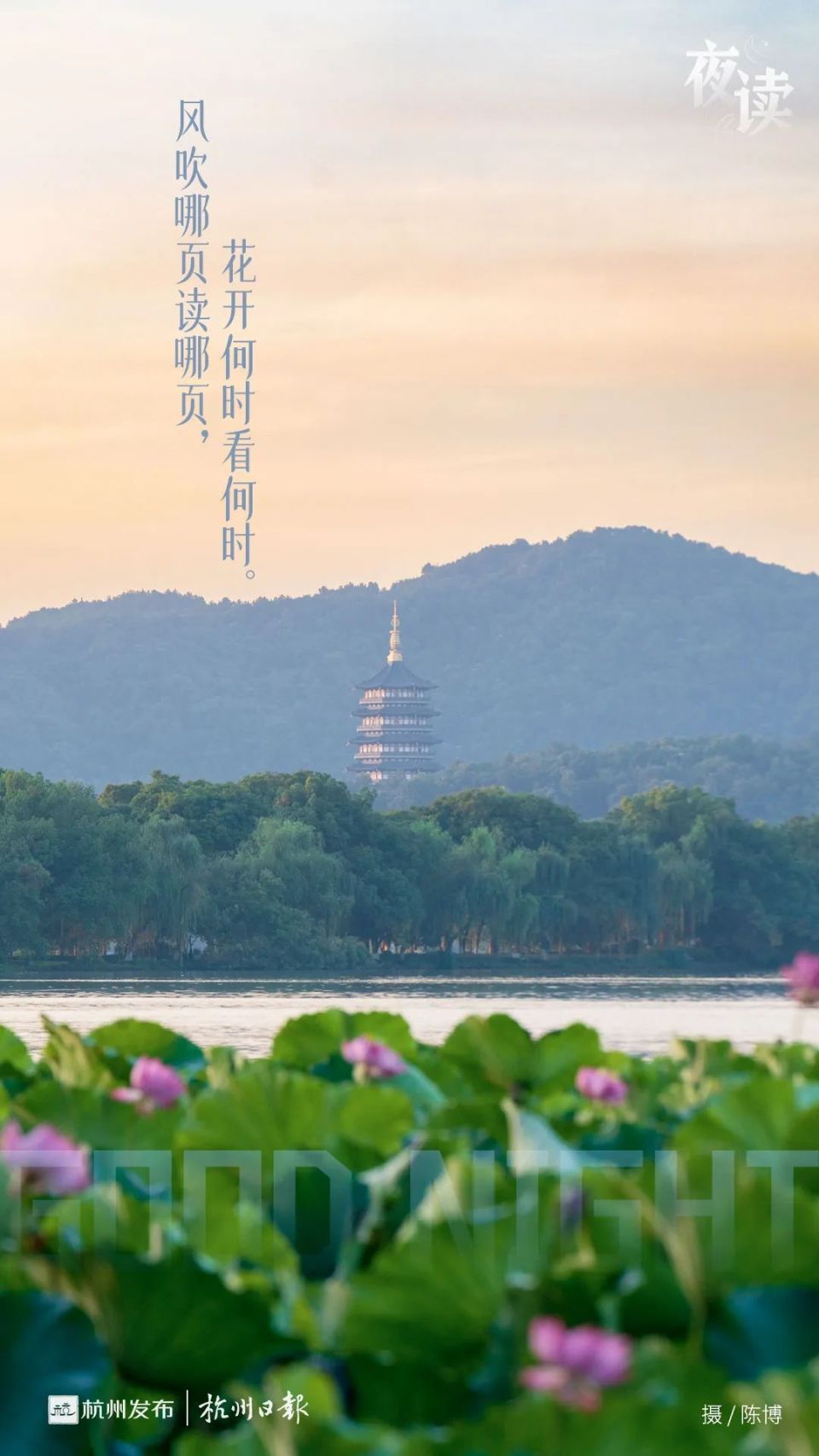杭州夏日之美,最强推送!他可列首席!