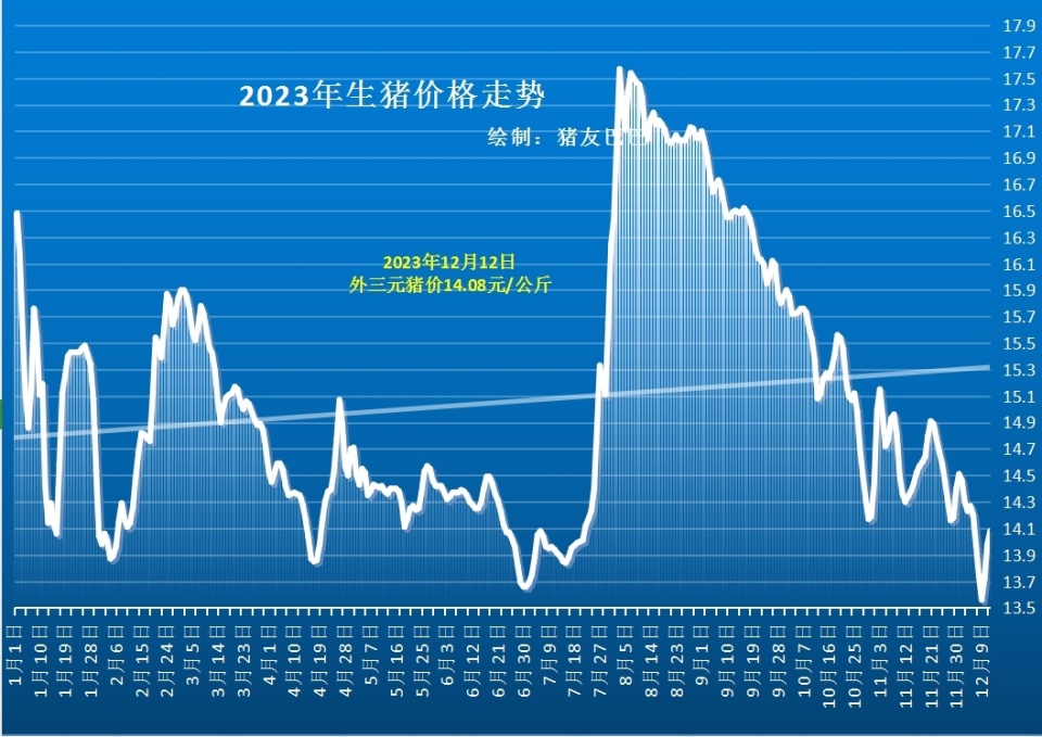 標豬與大豬之間缺乏價差,此輪豬價上漲主要集中在標豬方面,大豬價格