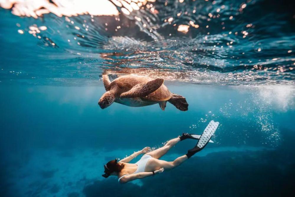 昆士兰州政府旅游,创新和体育部航空发展部主任曼尼·吉尔(manny gill