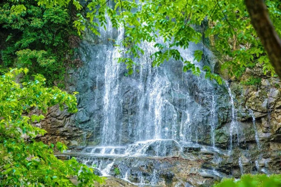 缙云的蛟龙大峡谷,被誉为浙南的"小黄山".