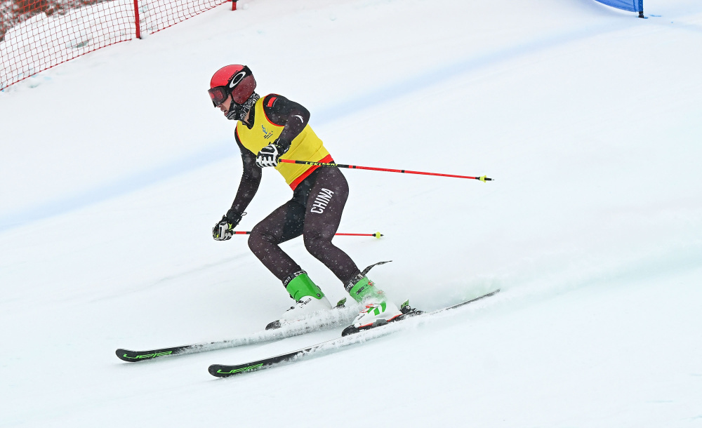 自由式滑雪——公开组男子障碍追逐赛况