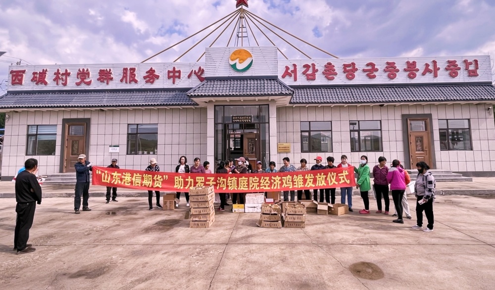 山东港信期货为罗子沟镇捐赠5万只鸡苗