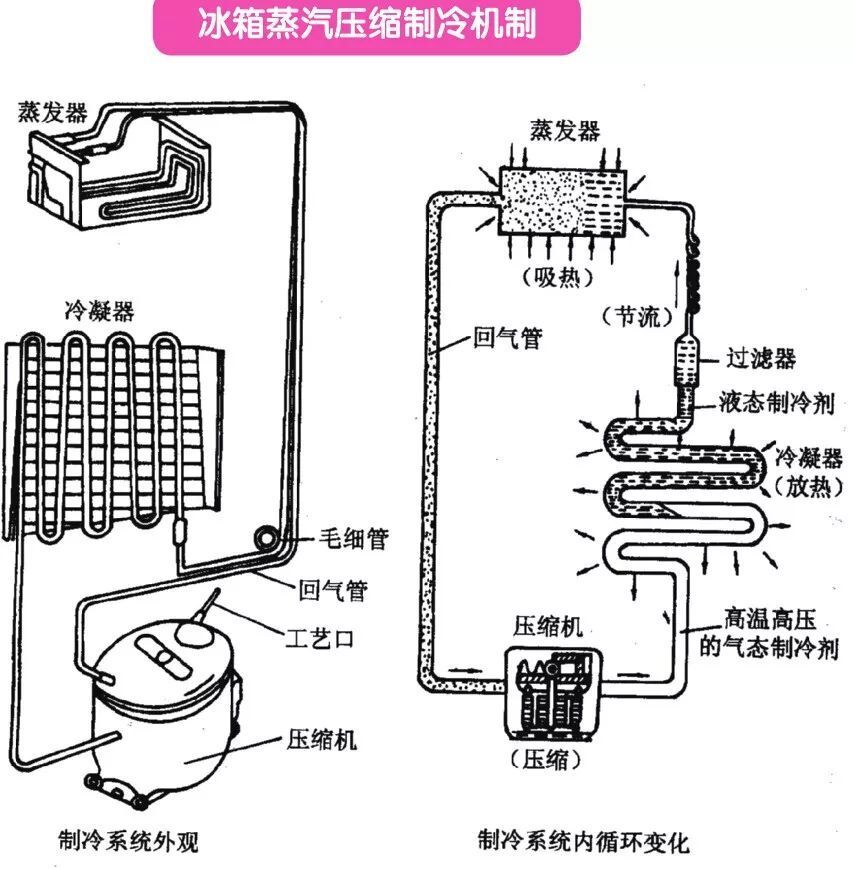 冰箱的组成部分及图片图片