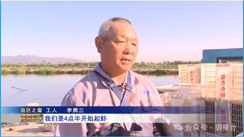 铜陵台,app豚云讯(记者 章鹏 洪全 郊区融媒 陈磊)眼下,随着气温攀升