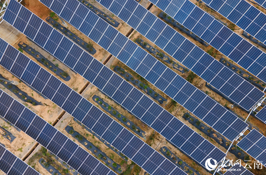 光伏板下药味浓