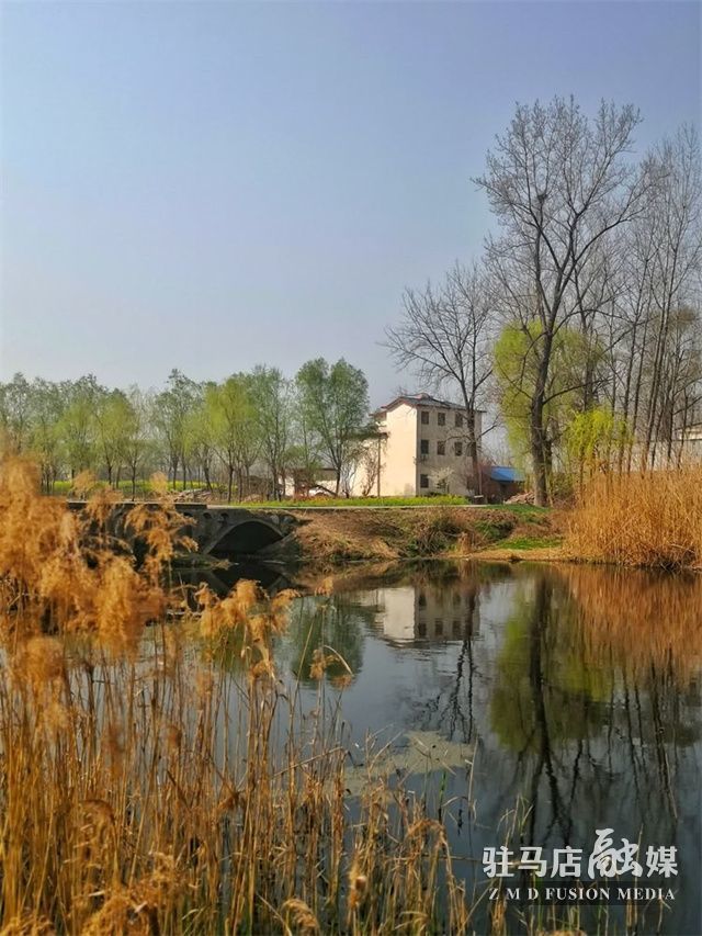 驻马店正阳河边农舍静岸边杨柳青