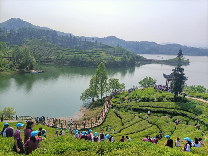 当前的六安,正在积极推进国家级大别山风景道体系建设,重点打造大别山