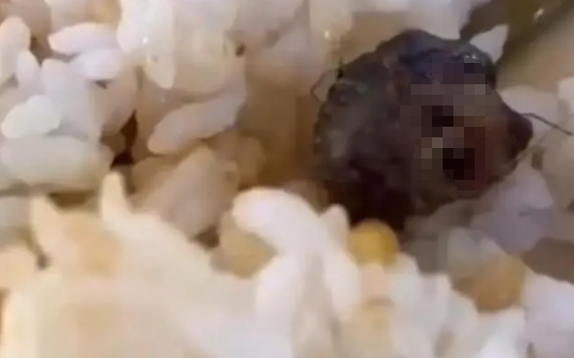 鼠头鸭脖事件反转！食品安全闹剧究竟谁之过？