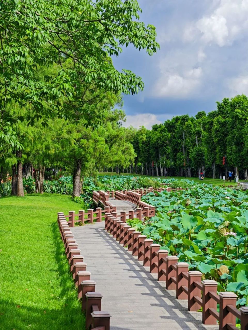 冷气!美景!甜食!荔湾避暑地图来了!