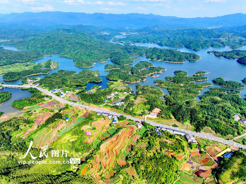 江西瑞金:路在景中延 车在绿中行