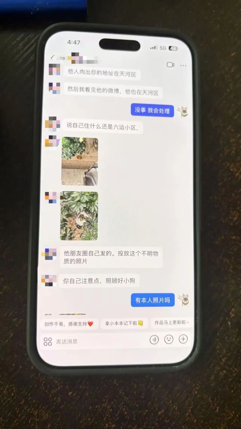 广州50万粉丝“捡瓶小狗”，疑被“毒狗团伙”盯上