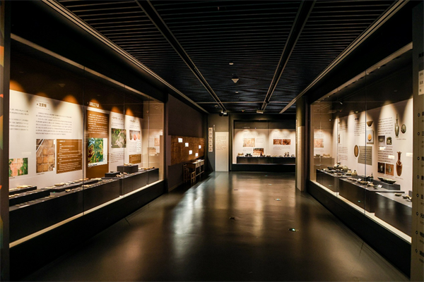 来临平博物馆,探秘杭州考古成果!-腾讯新闻