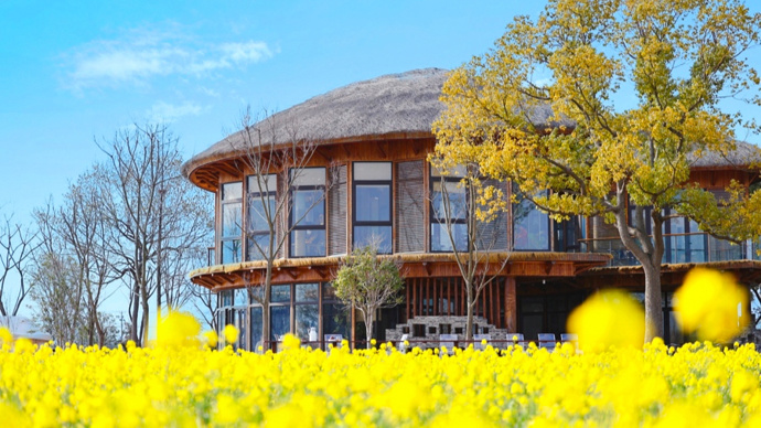 春天,赏花才是正经事…上海郊区赏春地图来啦,盘点n个鲜花节_腾讯新闻