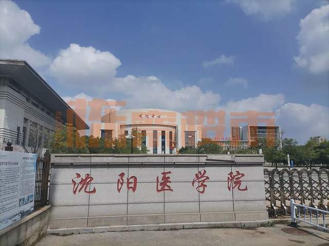 沈阳医学院沈洲医院图片