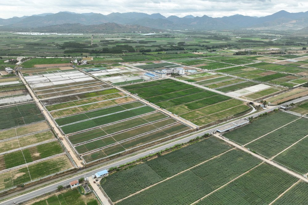 12月29日拍摄的海南三亚的国家南繁科研育种基地(无人机照片).