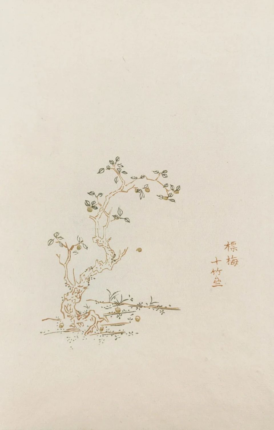 熊丸   柳母教子的故事.