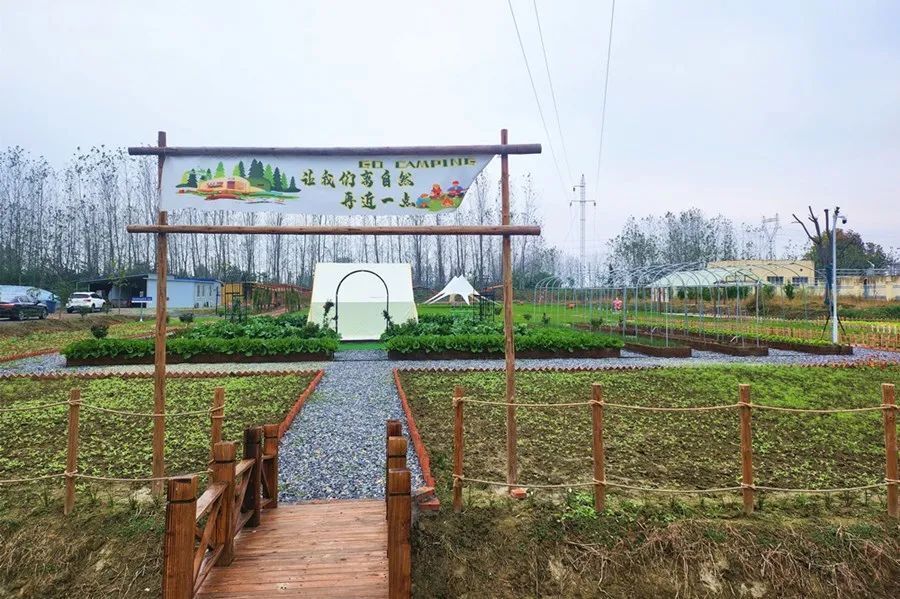 只见"共享菜园"里整整齐齐划分出来的60块菜地,有些种子刚栽种完毕,有