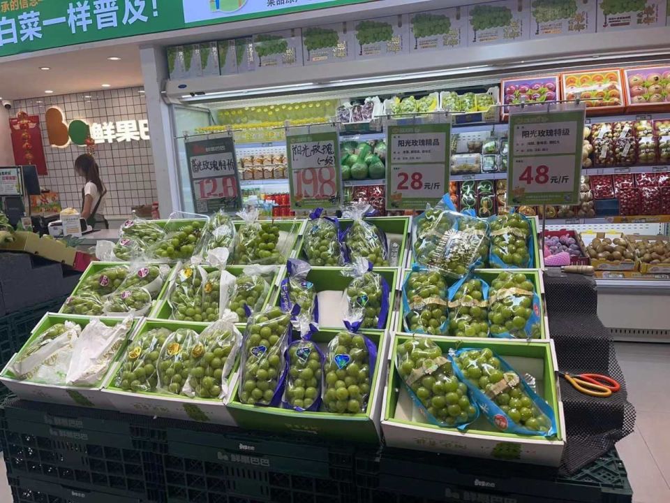 每斤低至个位数,阳光玫瑰葡萄价格再降,台州市民直呼"阳光玫瑰葡萄