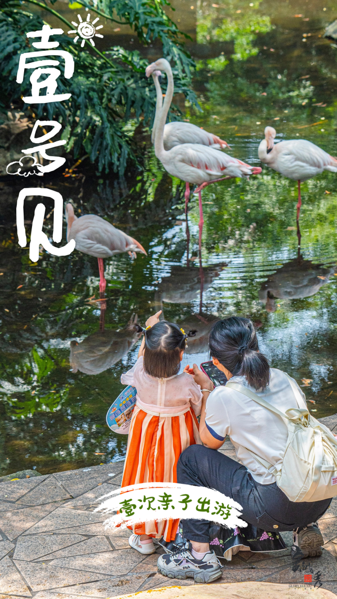 壹号见 | 壹次亲子出游