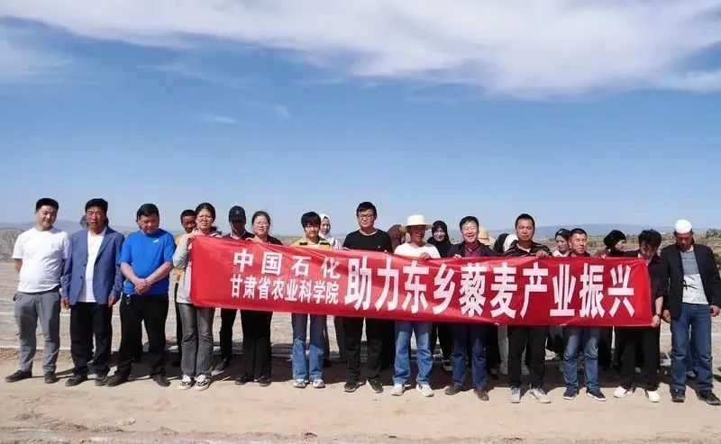 东乡县组织开展藜麦种植栽培技术培训