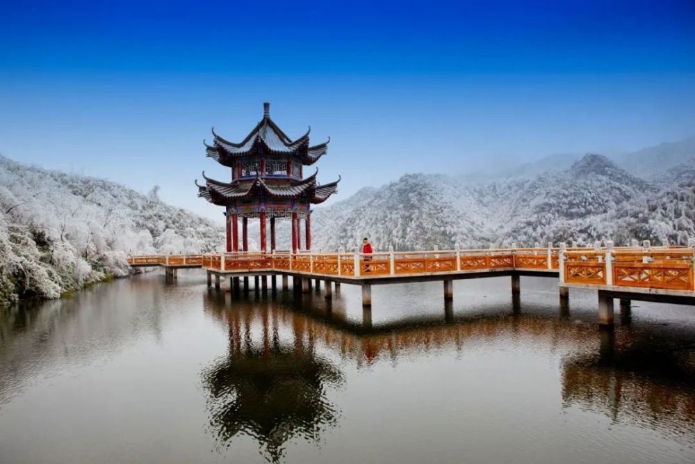 【气候康养示范基地第一站】湖南阳明山国家森林公园_腾讯新闻